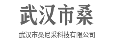 科技懂你的言外之意,也懂你的欲言又止-武汉市桑尼采科技有限公司